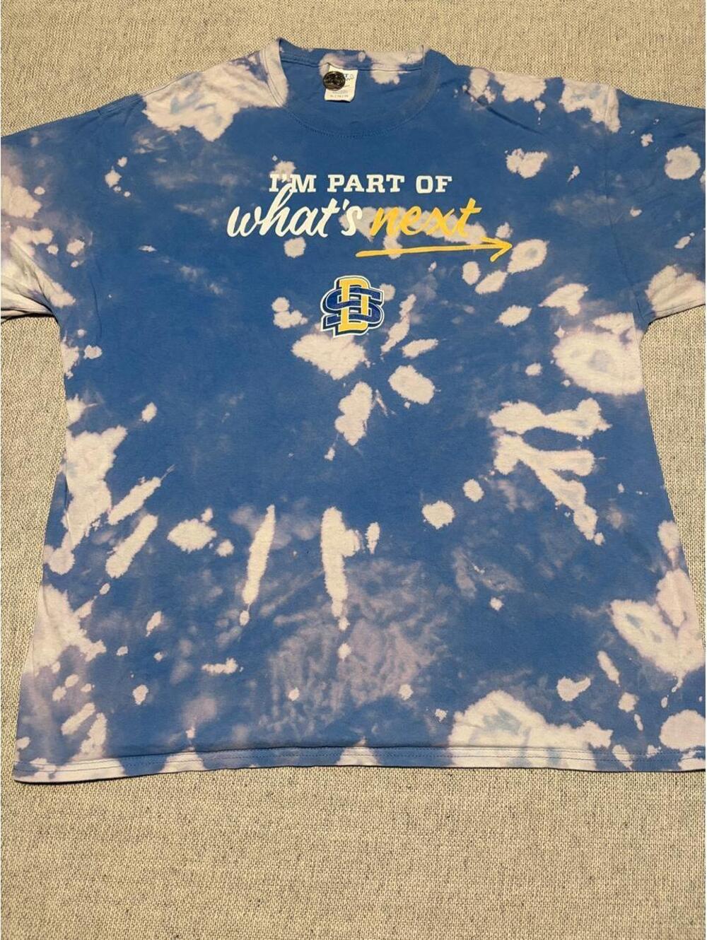 Champion Men's Blue and Multi Tshirt